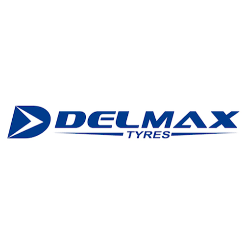 205/55 R16 Delmax Ultima ICE 94T 205/55 R16 Delmax Ultima ICE 94T